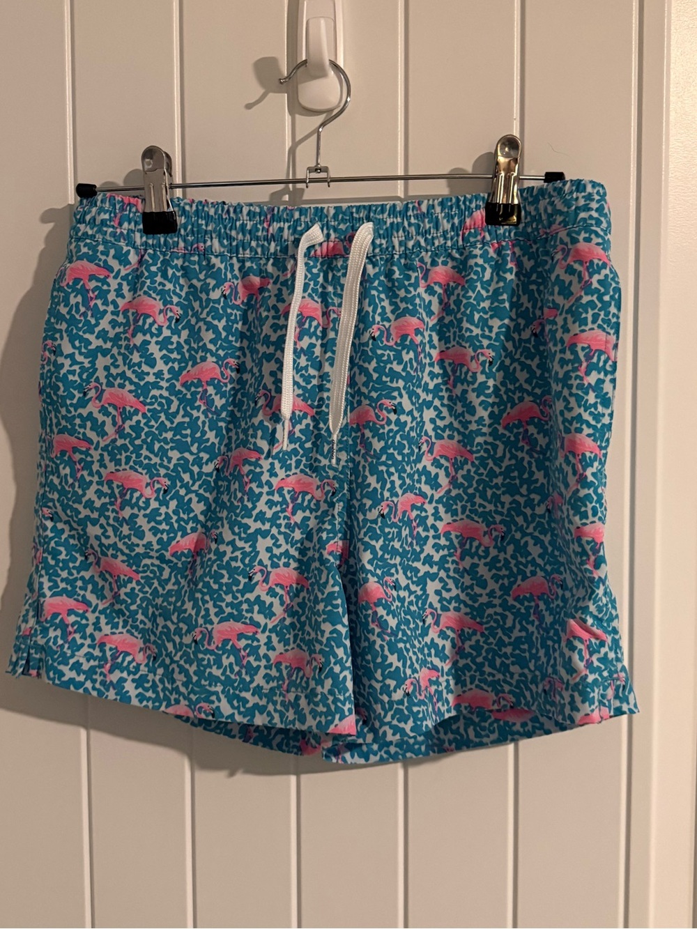 chubbies teal and pink youth swim trunks